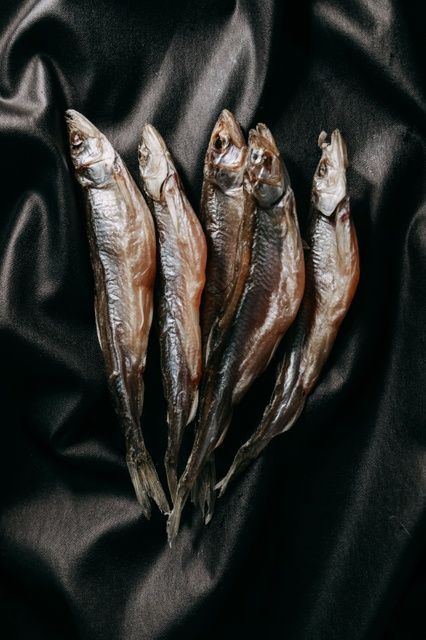Корюшка з ікрою 4569842 фото